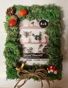 4x6 picture frame covered with green reindeer moss and decorated with a small pinecone, two orange acorns, a tiny green plastic frog, a brown and yellow plastic snail, a brown twine bow, and three small plastic amanita mushrooms